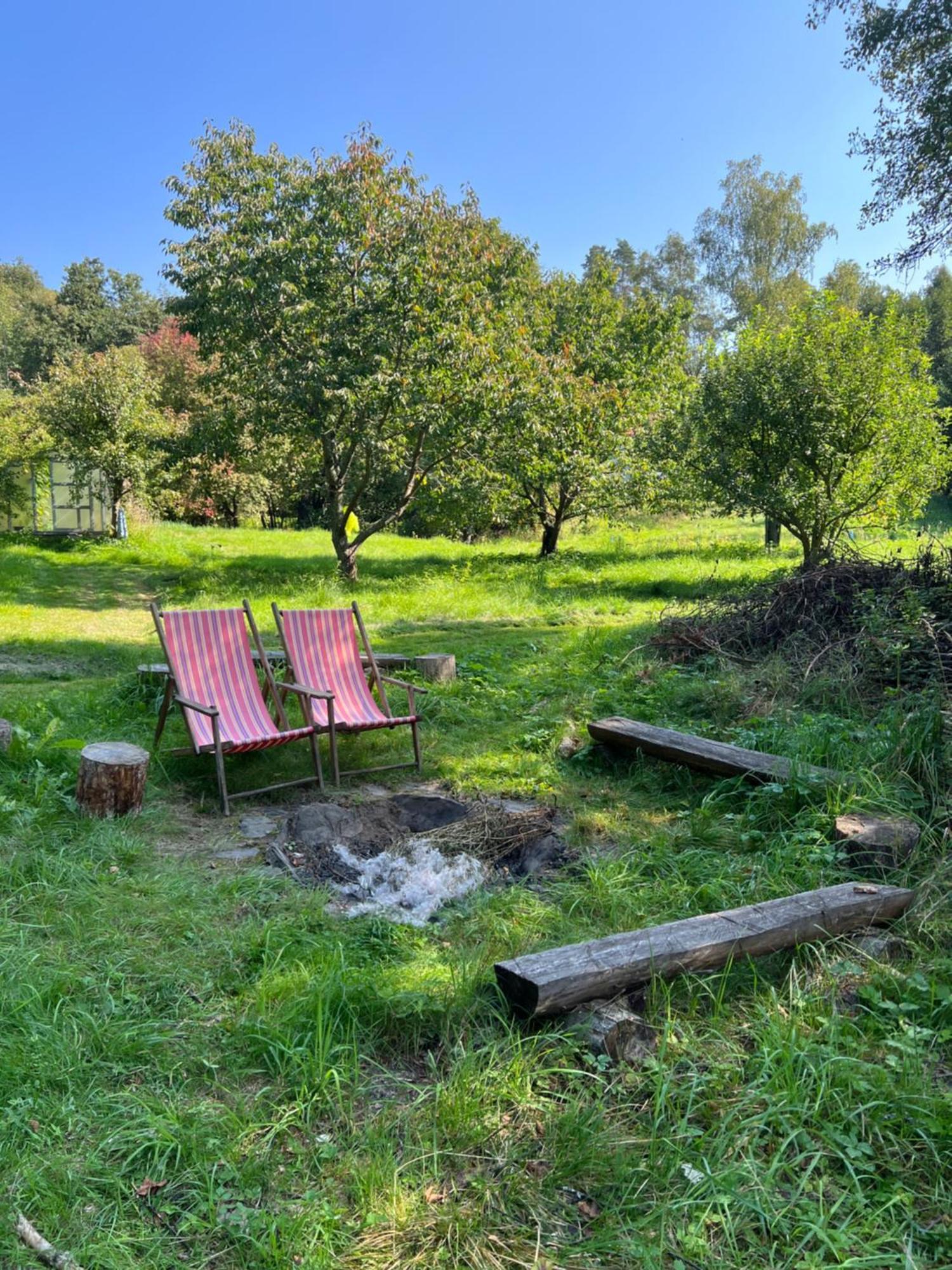 Forest Paradise Apartment Struzna Exterior photo